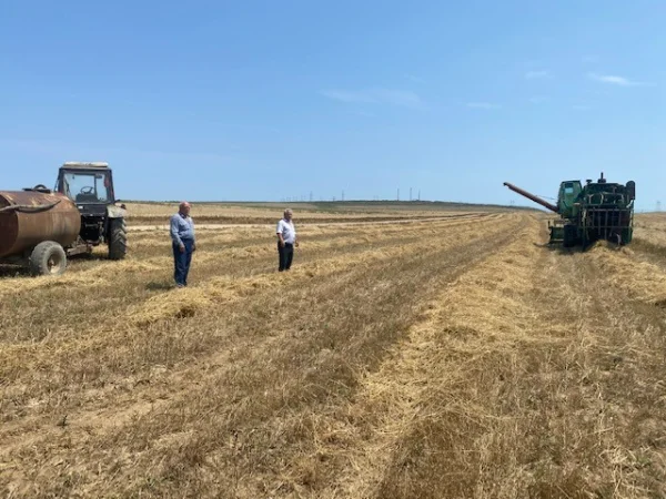 В Каякентском районе приступили к уборке озимых зерновых культур