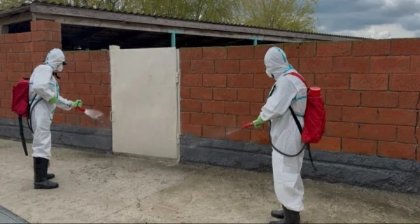 Студенты-волонтеры ДГМУ проводят дезинфекцию в пострадавшем от паводков Кадыротаре