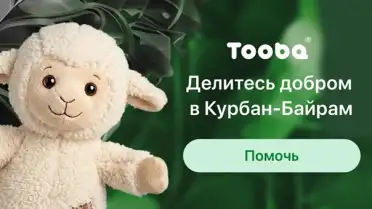 В Курбан-байрам через Tooba собрали 1,5 млн рублей