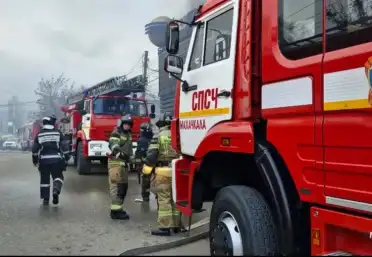 Более 50 пожаров и 24 ДТП: в МЧС Дагестана озвучили статистику чрезвычайных происшествий за неделю