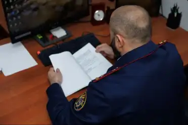 В Кизлярском районе перед судом предстанет ответственный за отлов бродячих собак