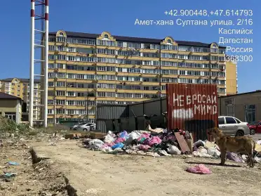 В Каспийске выявлены нарушения по вывозу мусора