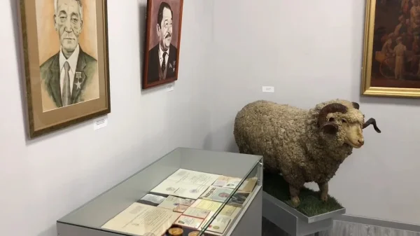 Изображение 3