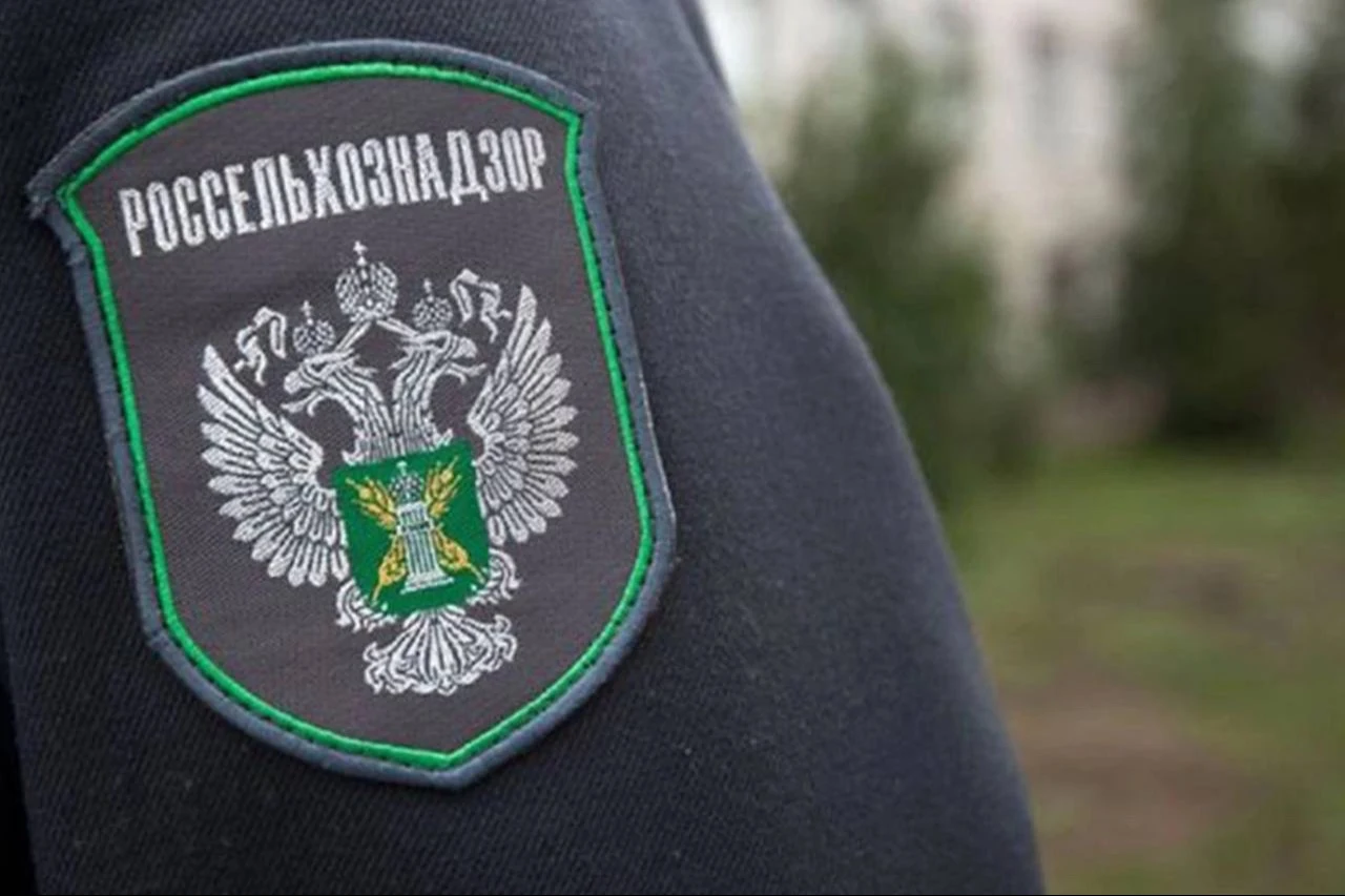 Россельхознадзор по Дагестану разъяснил правила борьбы с коричневым мраморным клопом
