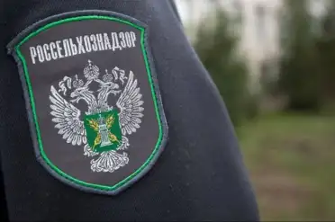 Россельхознадзор по Дагестану разъяснил правила борьбы с коричневым мраморным клопом