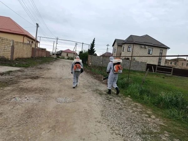 Спасатели продолжают ликвидацию последствий паводка в Дербентском районе