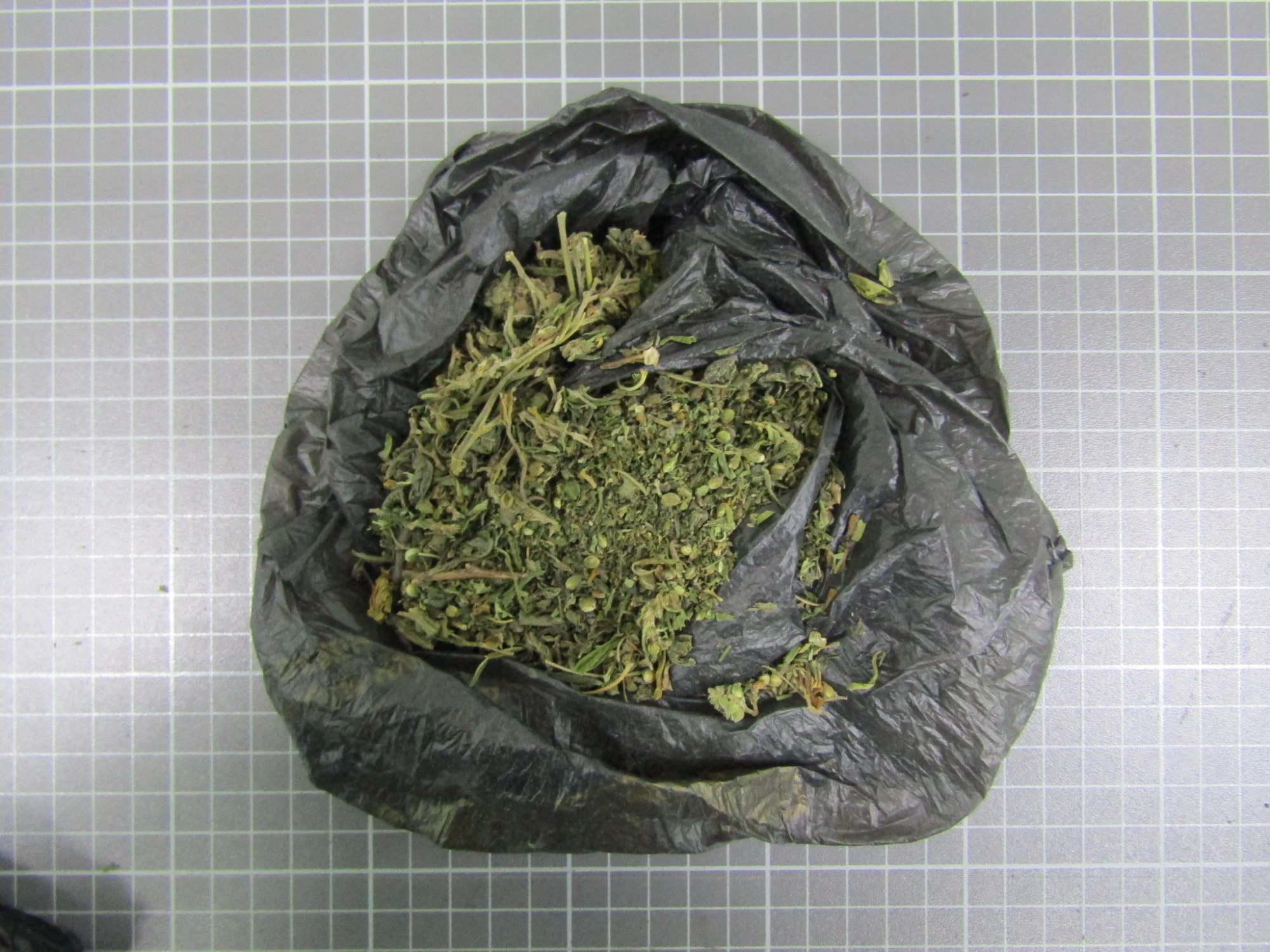 Транспортные полицейские Дагестана изъяли более 60 граммов марихуаны у троих жителей