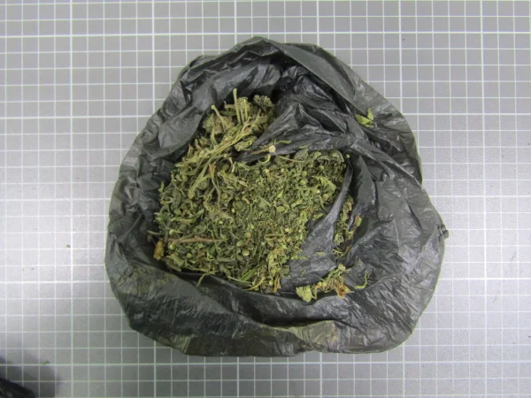 Транспортные полицейские Дагестана изъяли более 60 граммов марихуаны у троих жителей