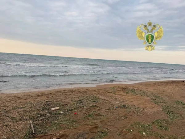 В Дагестане на побережье Каспийского моря утонул 15-летний подросток