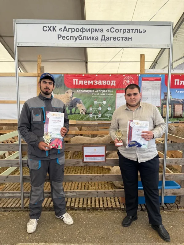 Изображение 4