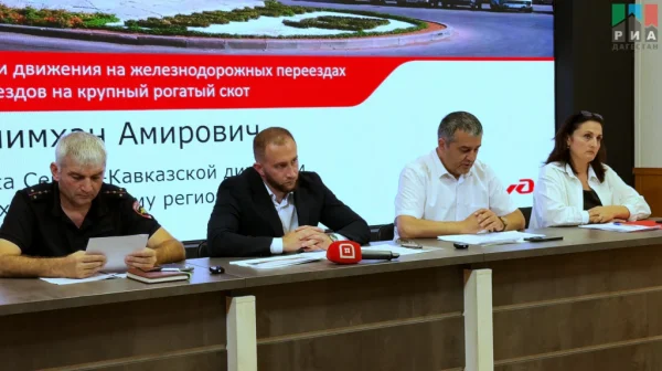 Обеспечение безопасности движения на ЖД переездах и проблема наездов на КРС