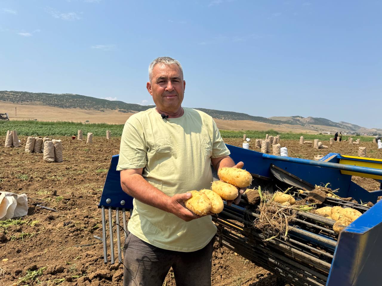 Аграрии Кумторкалинского района планируют увеличить площадь под картофелем до 200 гектаров