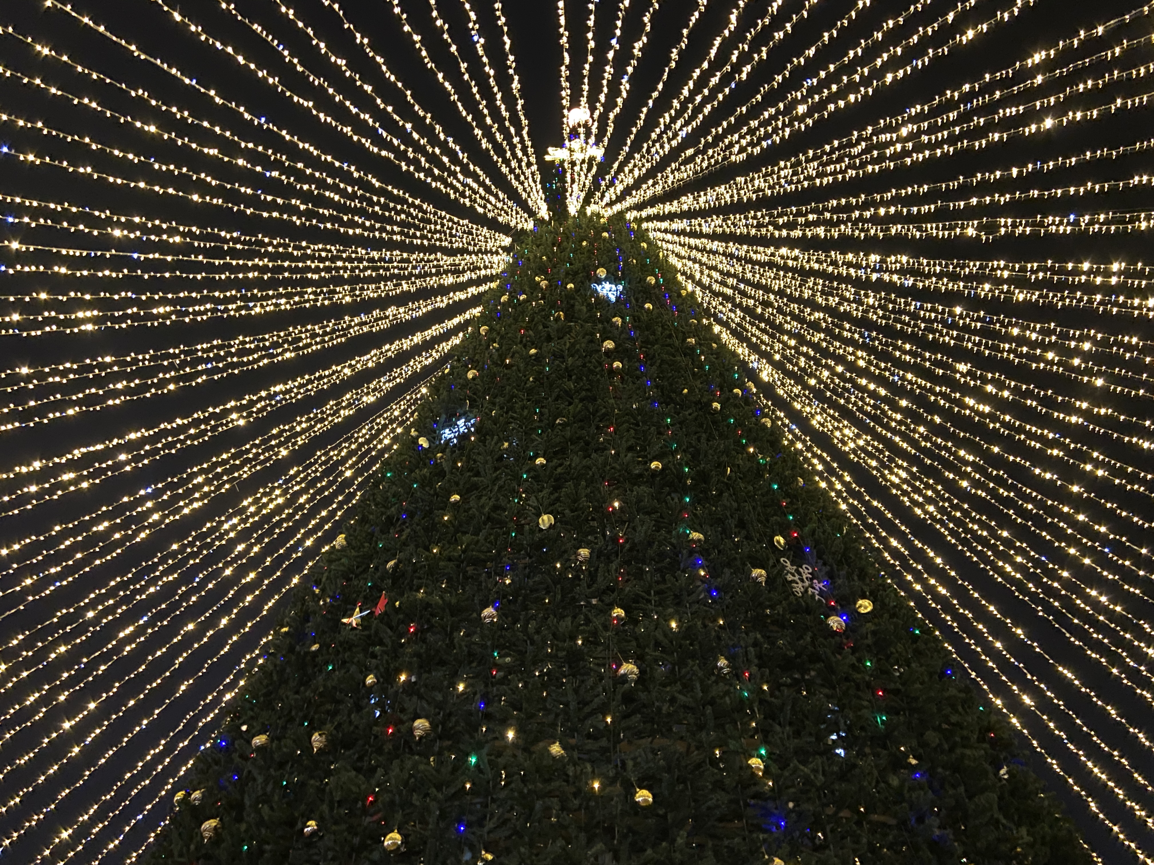 Открытие главной новогодней елки Махачкалы – фоторепортаж