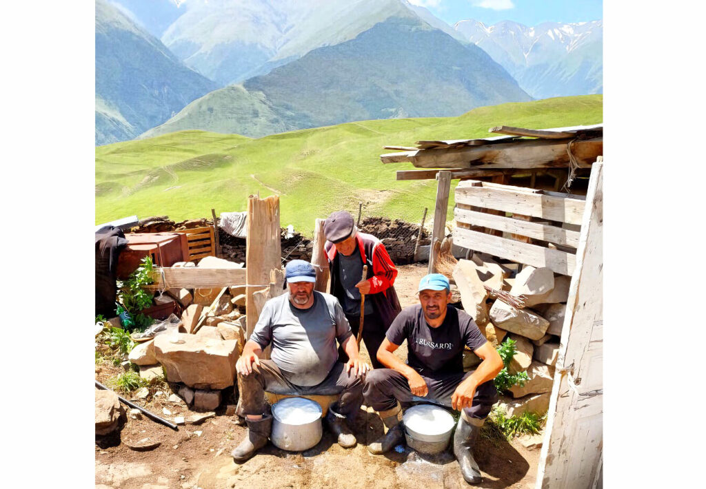 Пример устойчивого развития овцеводства в Рутульском районе