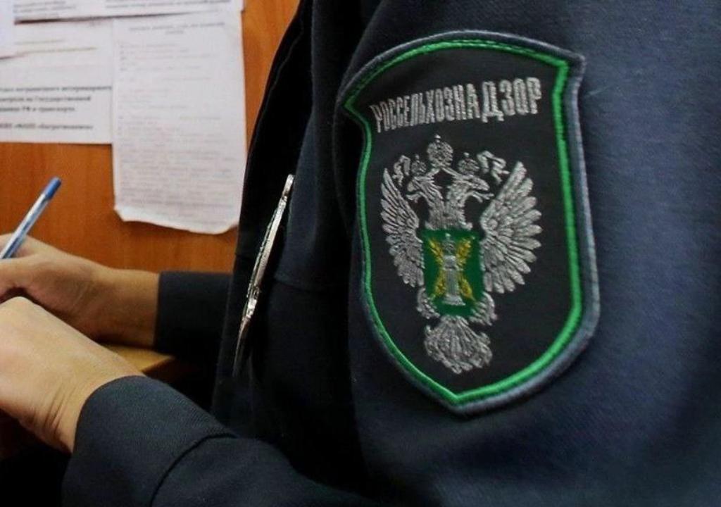 В Дагестане выявлены нарушения при ввозе древесины и гречки