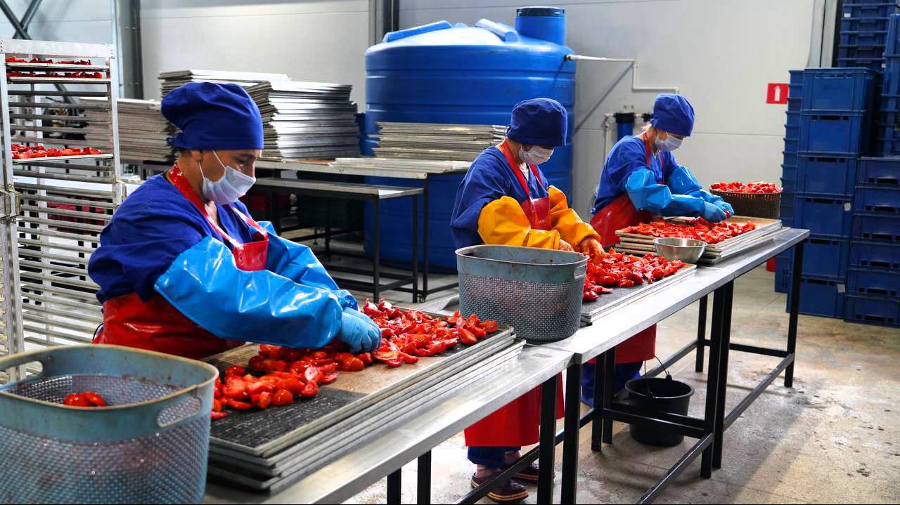 В Дагестане ожидается рост производства плодоовощных консервов на 25%