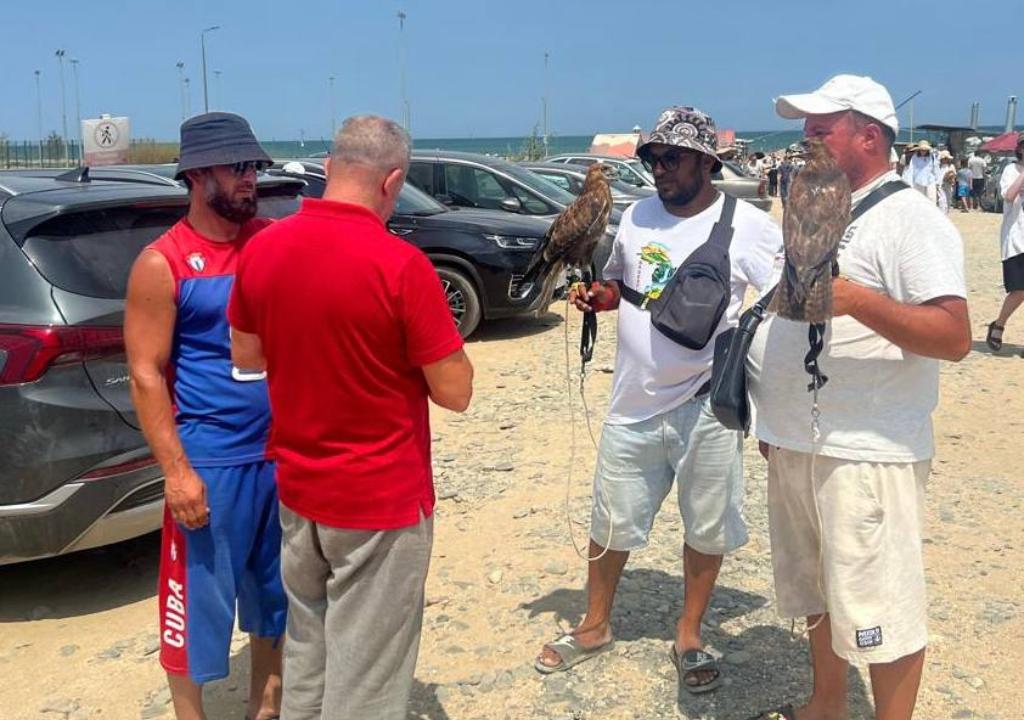 В Дагестане пресечена незаконная эксплуатация краснокнижных орлов в фотобизнесе