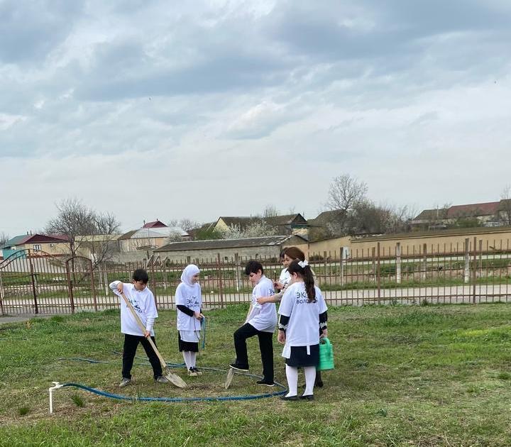 В Хасавюртовском районе высажено более двух тысяч саженцев в рамках партпроекта «Чистая страна»