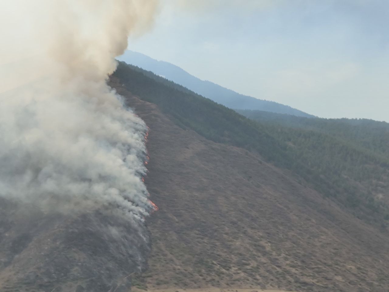 Пожар на юге Дагестана охватил площадь в 8 га