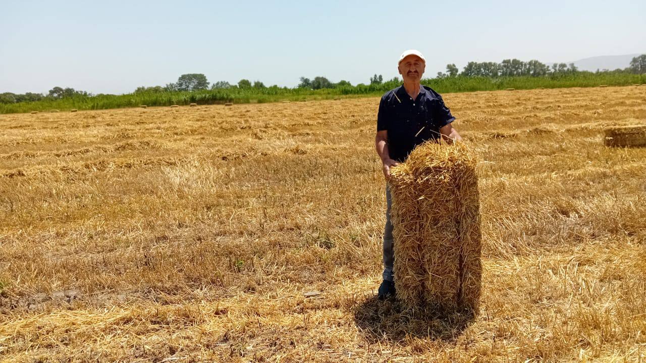 Уборочная кампания в Кизилюртовском районе набирает обороты