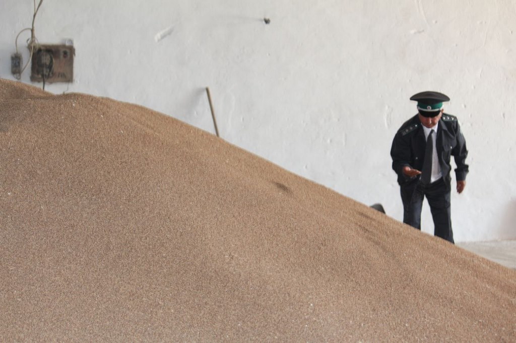 В Дагестане выявлено более 836 тысяч тонн недостоверно задекларированного зерна