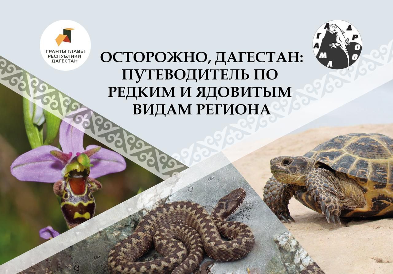 «ЗооГид по Дагестану»: в Ботаническом саду ДГУ подвели итоги уникального образовательного проекта