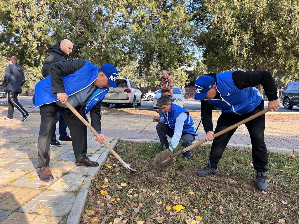 Депутаты-единороссы Кизилюрта высадили ели в парке имени Малагусейнова