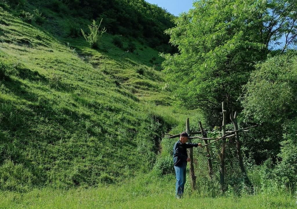 В Дагестане усилят патрулирование лесов в период особого противопожарного режима
