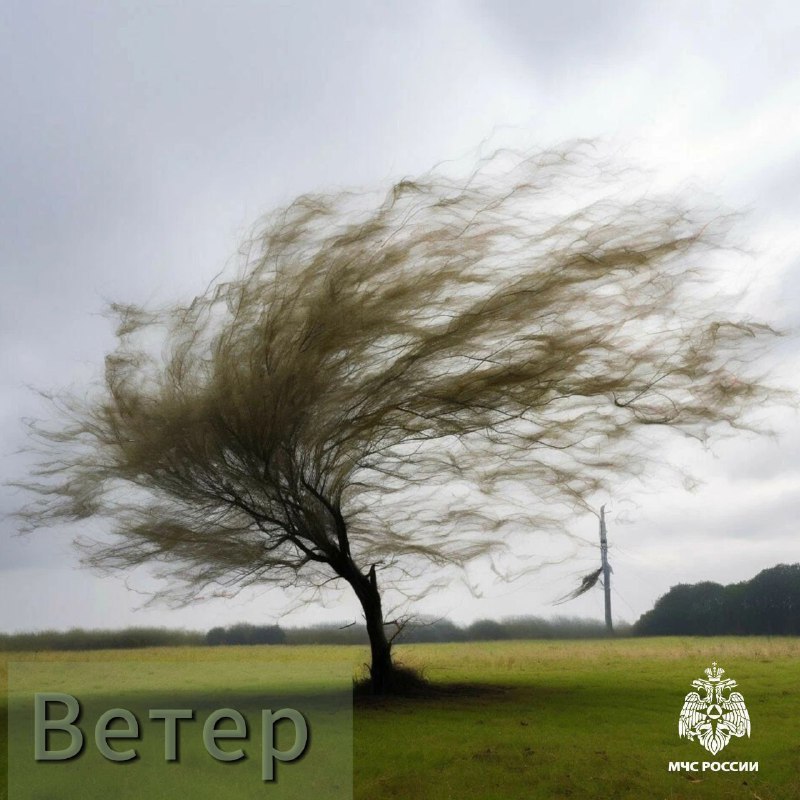 Усиление ветра до 20 м/с ожидается по районам Дагестана
