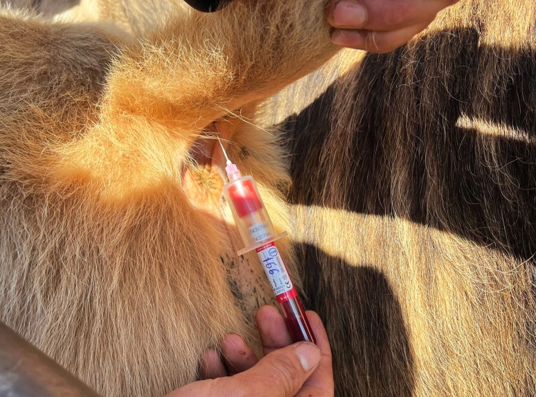 Изображение 1