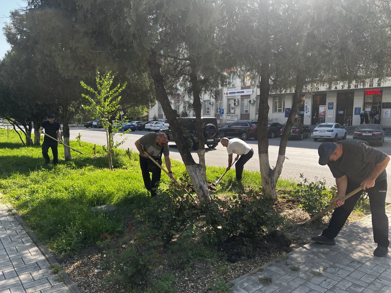 Изображение 2