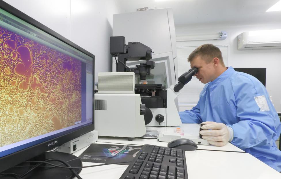 Роспотребнадзор опроверг выявление нового вируса в РФ