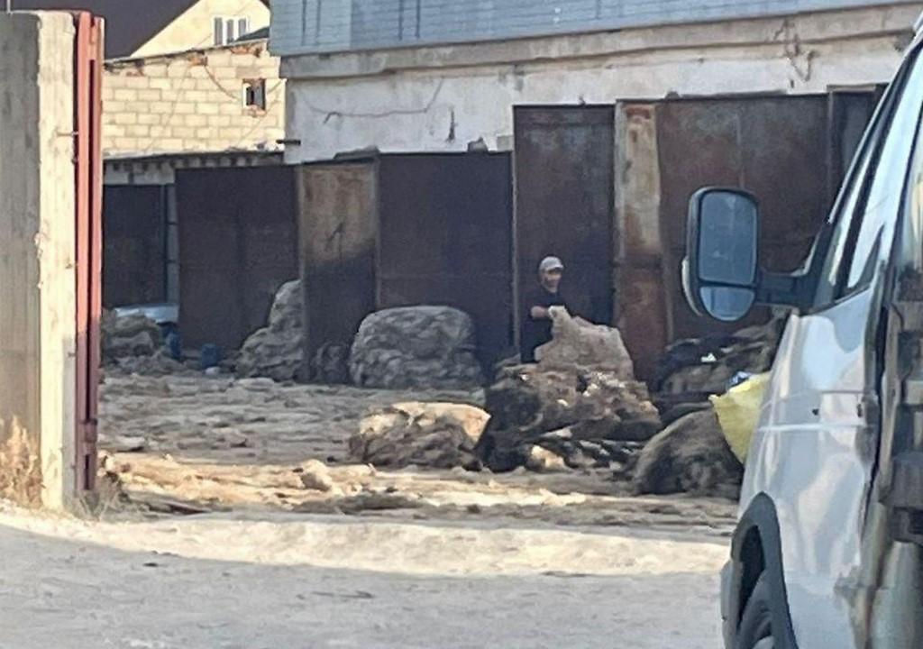 В Каспийске приостановлена работа предприятия по переработке овечьих шкур по сигналу ЦУР