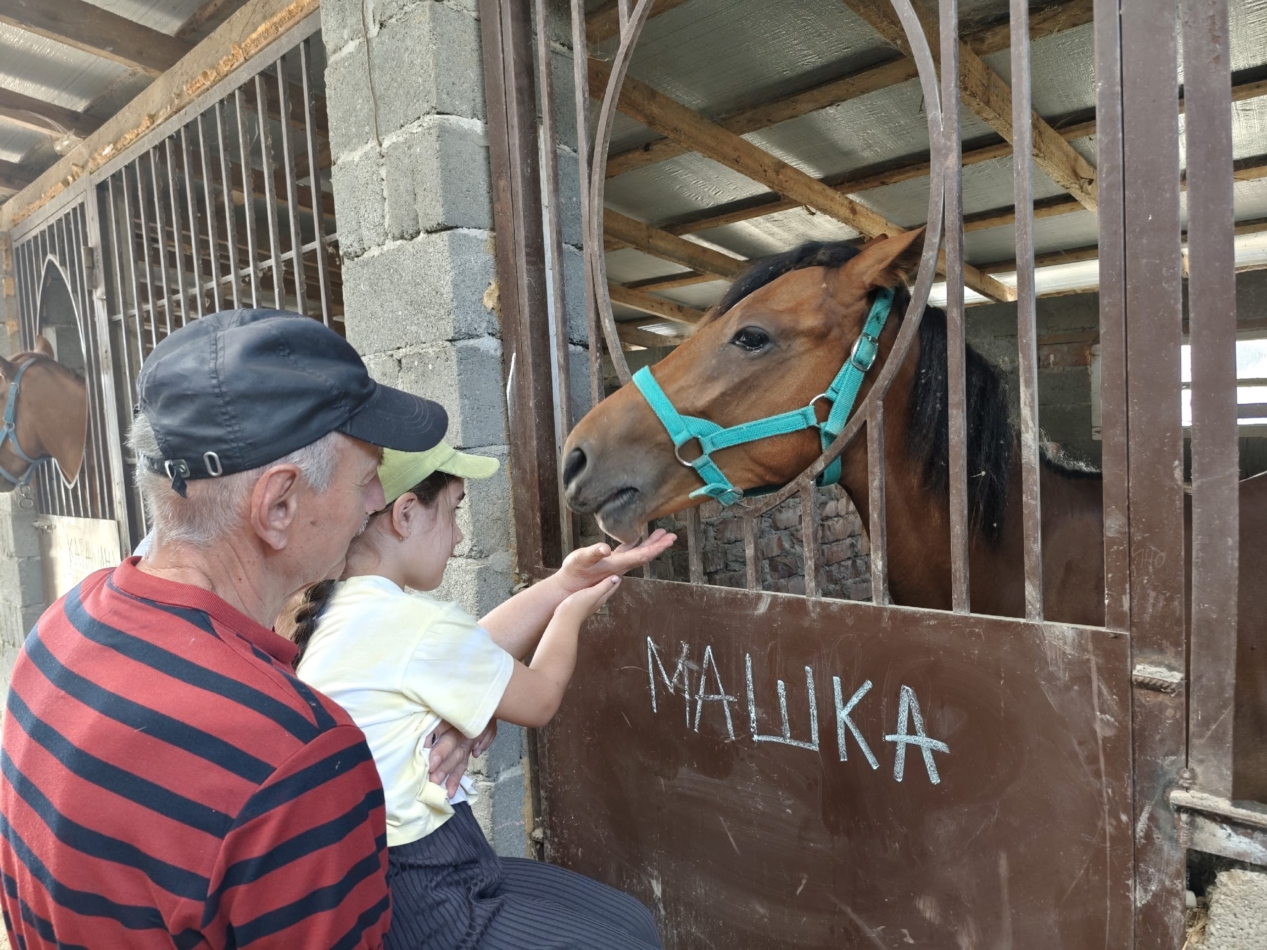 Для воспитанников Реабилитационного центра Избербаша провели курс по иппотерапии