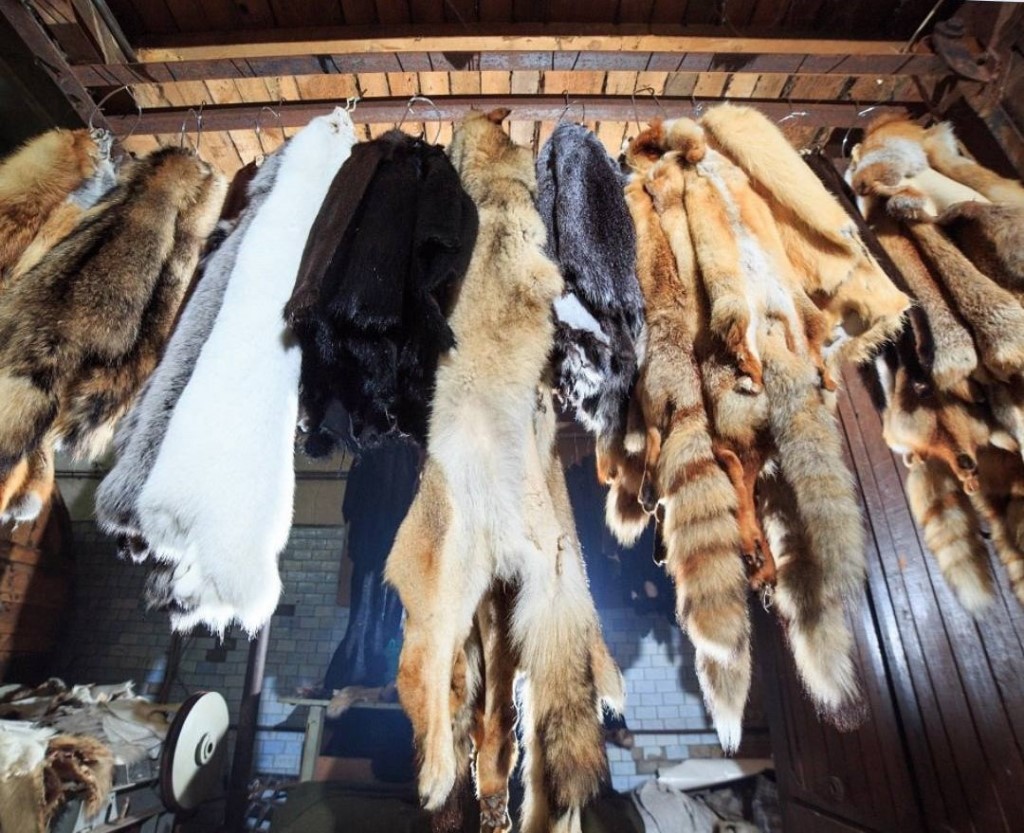В России вводится обязательная ветеринарно-санитарная экспертиза шкур животных