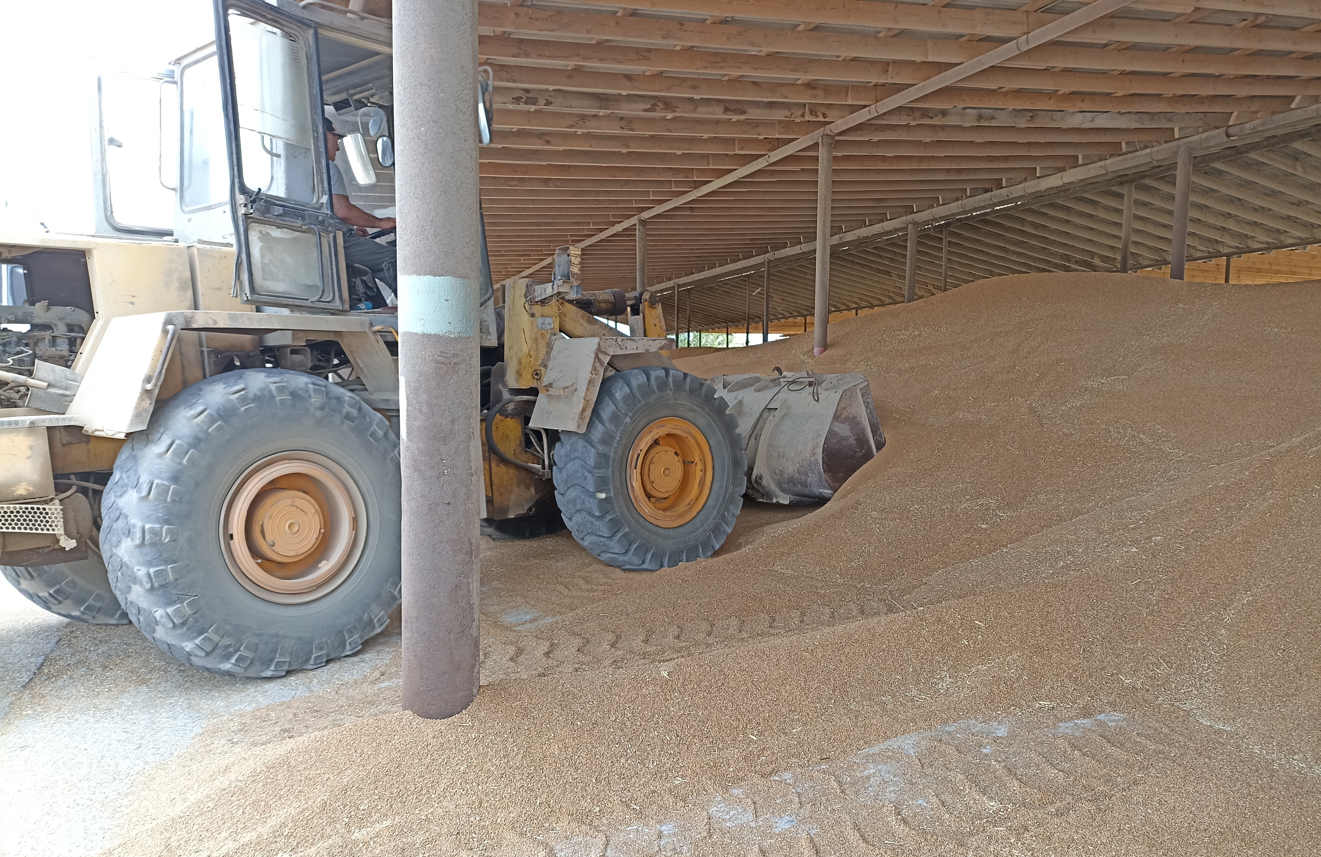 Более 280 предостережений получили участники зернового рынка в Дагестане