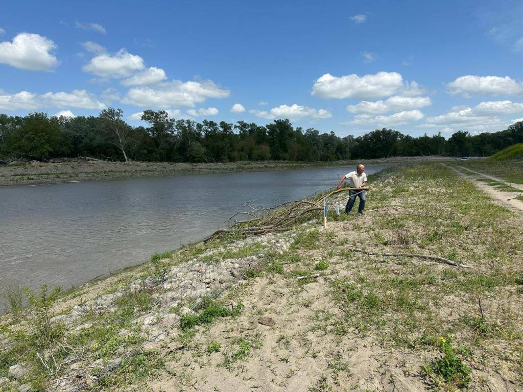Дагмелиоводхоз проводит очистку от кустарников магистрального оросительного канала