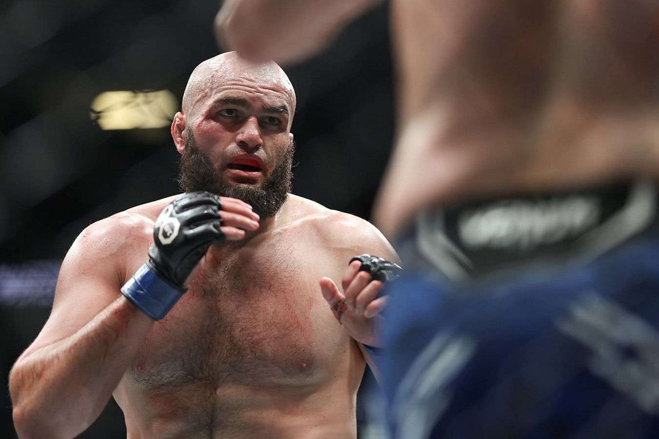 Шамиль Газиев проведет следующий бой UFС 17 мая