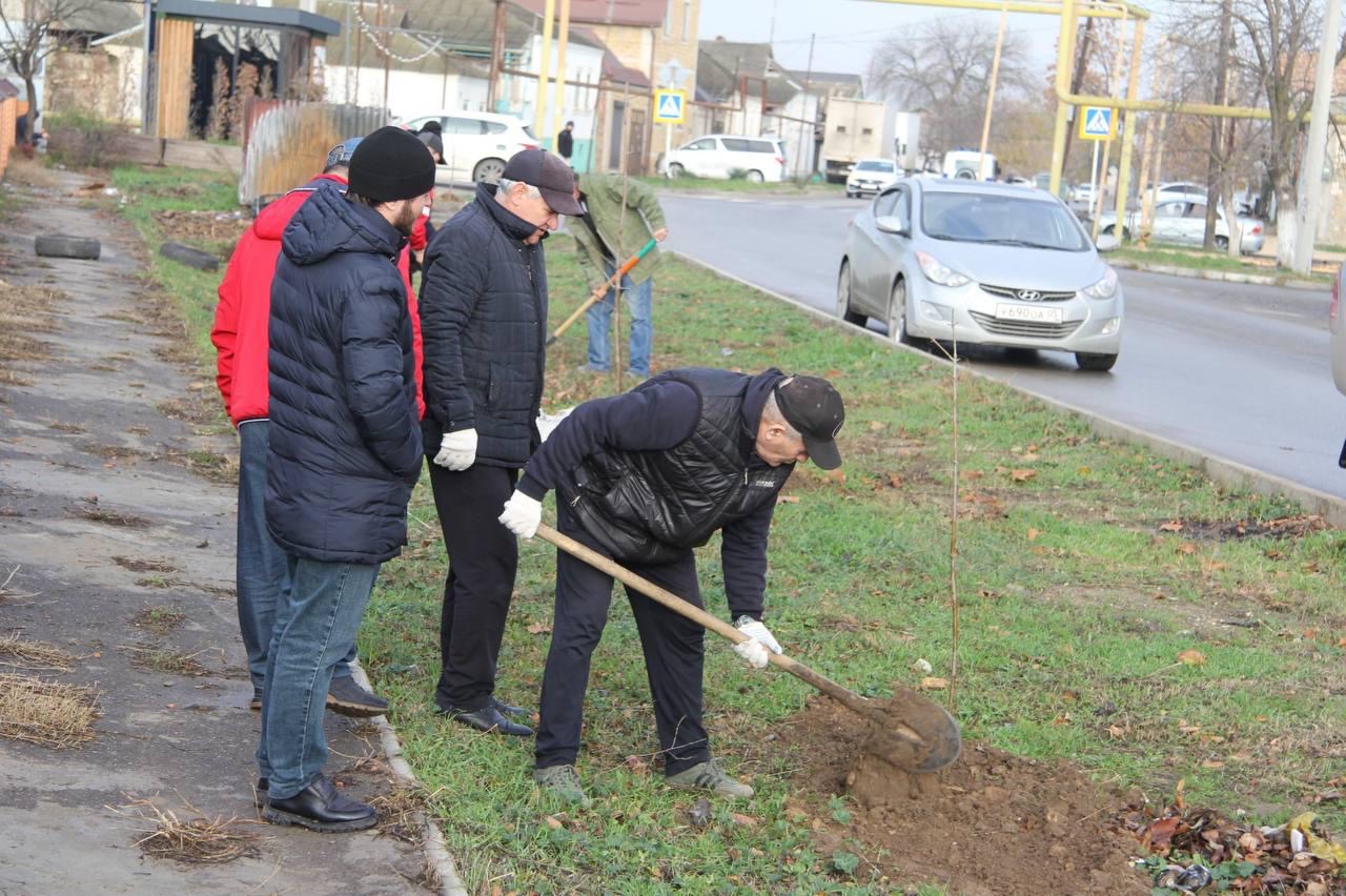 По инициативе «Единой России» в Избербаше прошла акция по посадке деревьев