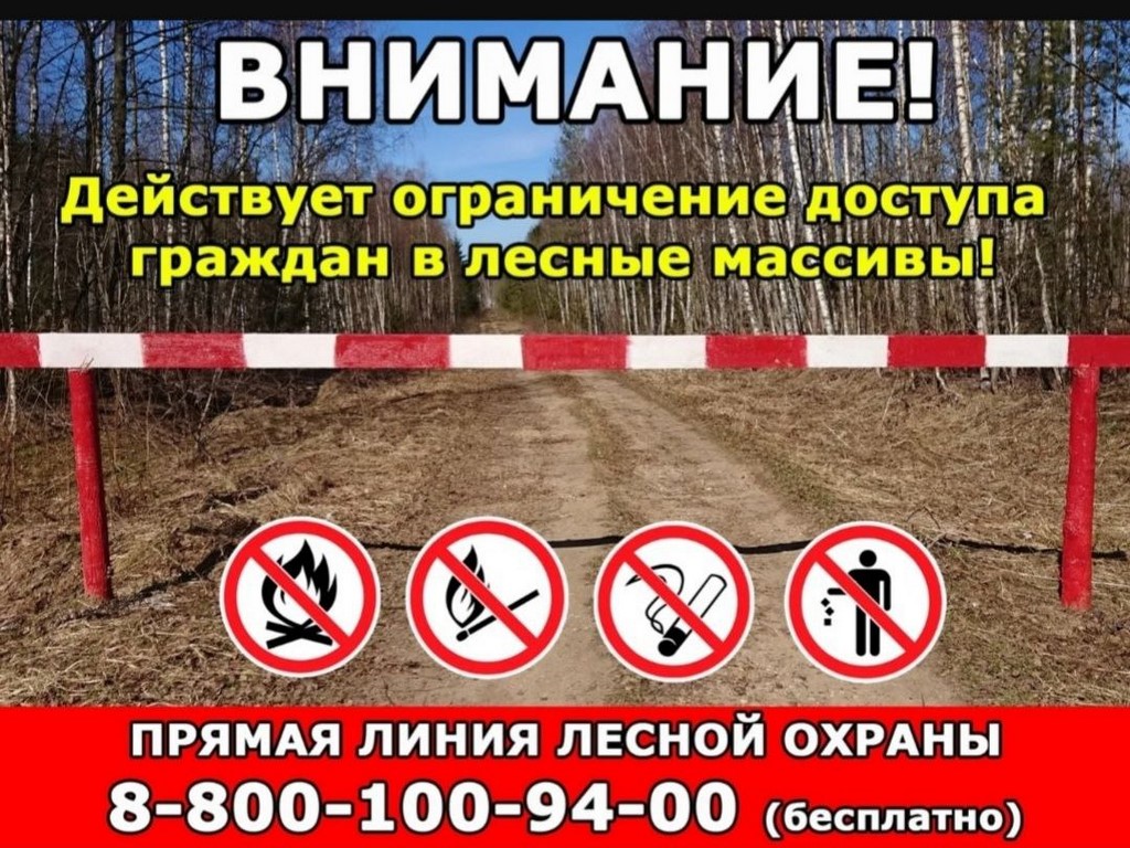 Даглесхоз ввел ограничения на посещение лесов