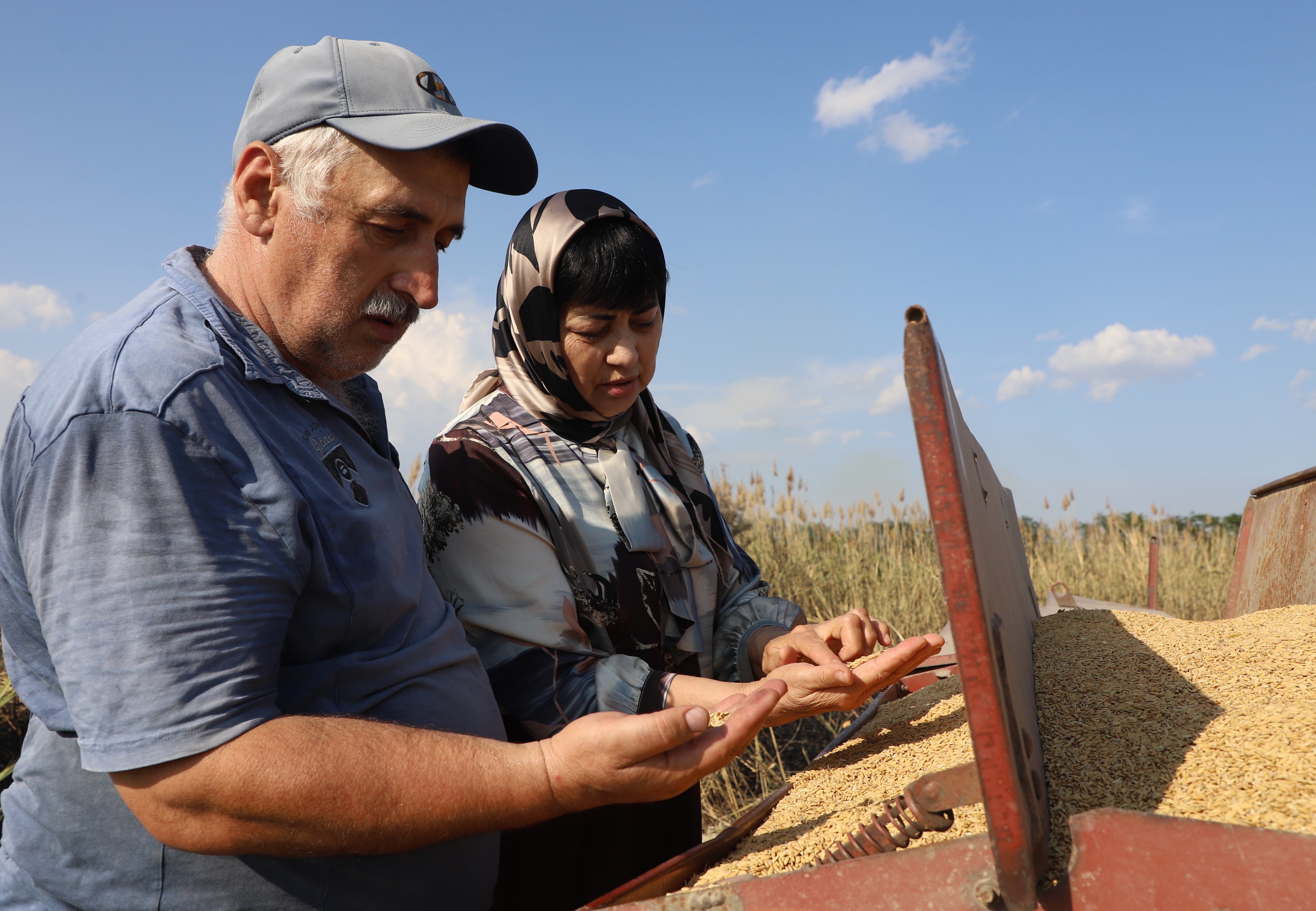 В Кизлярском районе завершается сев риса