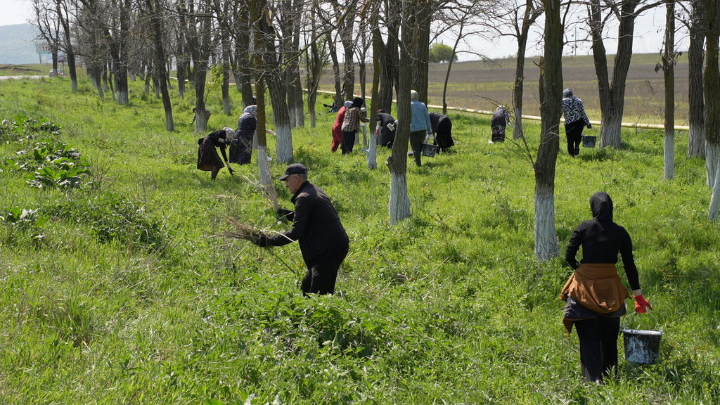 В Казбековском районе поддержали масштабный Всероссийский субботник