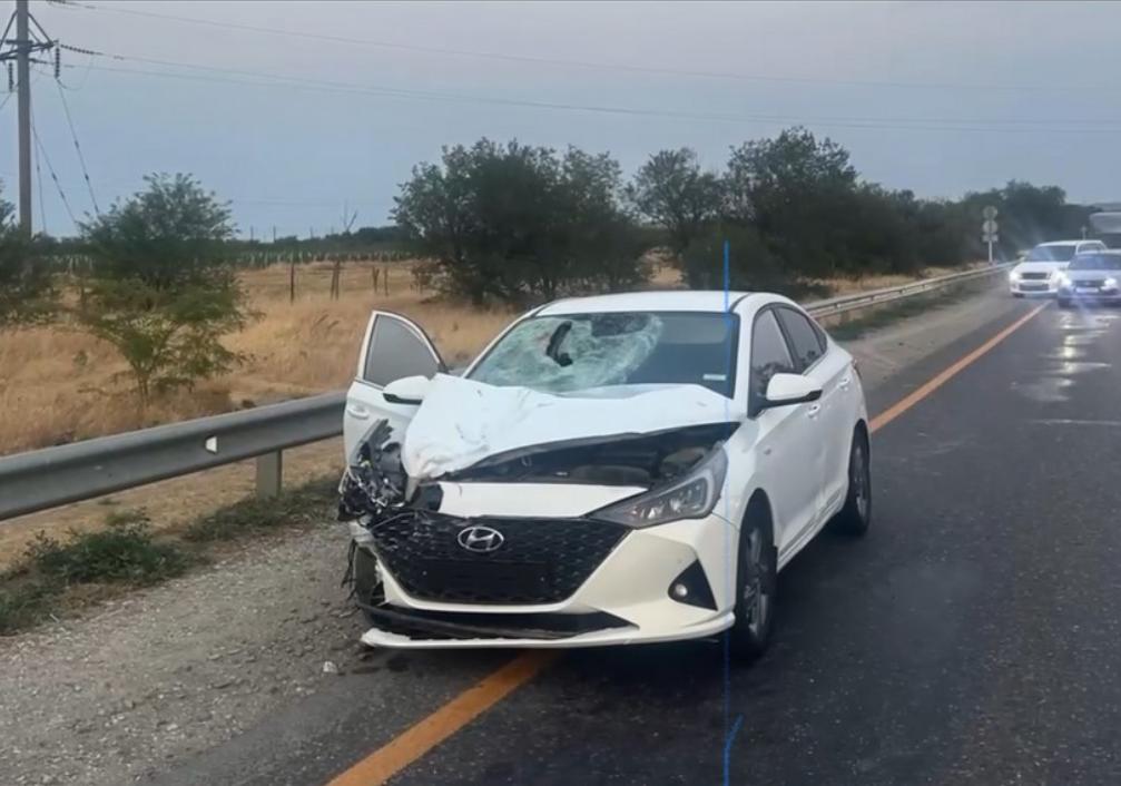 9 человек погибли за неделю на дорогах Дагестана  – ГИБДД