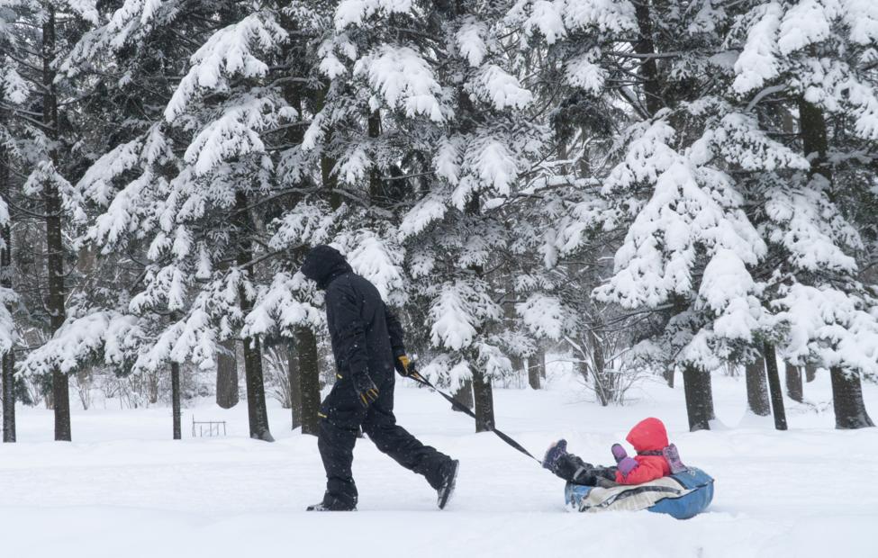 В РФ предложили выплачивать пособие только проживающему с ребенком родителю