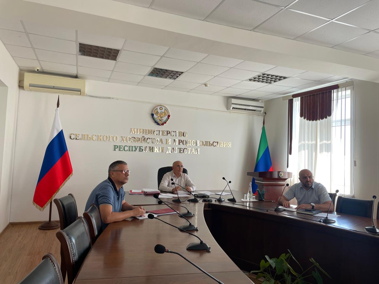 Дагестан планирует ввести в оборот более 5 тысяч гектаров пашни в 2025 году