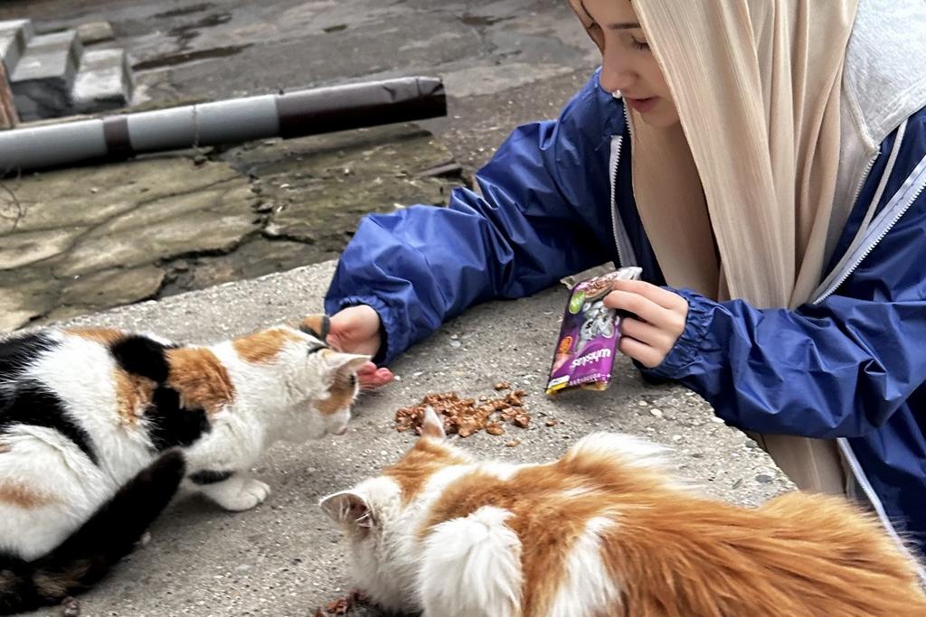 Молодогвардейцы провели благотворительную акцию для помощи бездомным животным