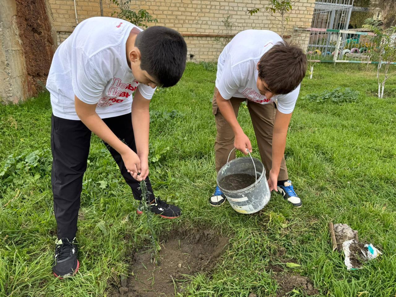 Волонтерский корпус Кизляра провел экологическую акцию «Посади дерево»