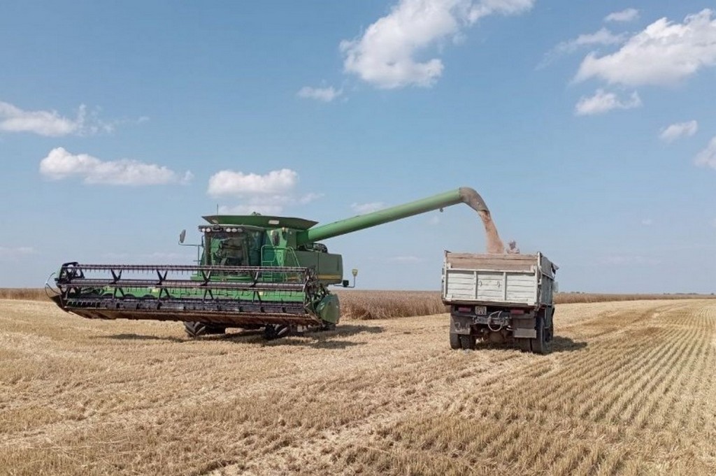 Свыше 8753 тонн урожая зерновых культур собрали в Каякентском районе