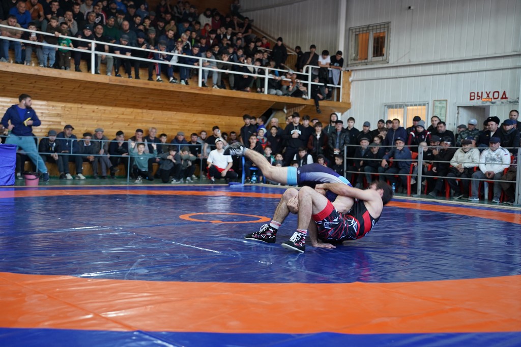 В Ботлихе завершился республиканский турнир по вольной борьбе на призы Юсупа Абдусаламова