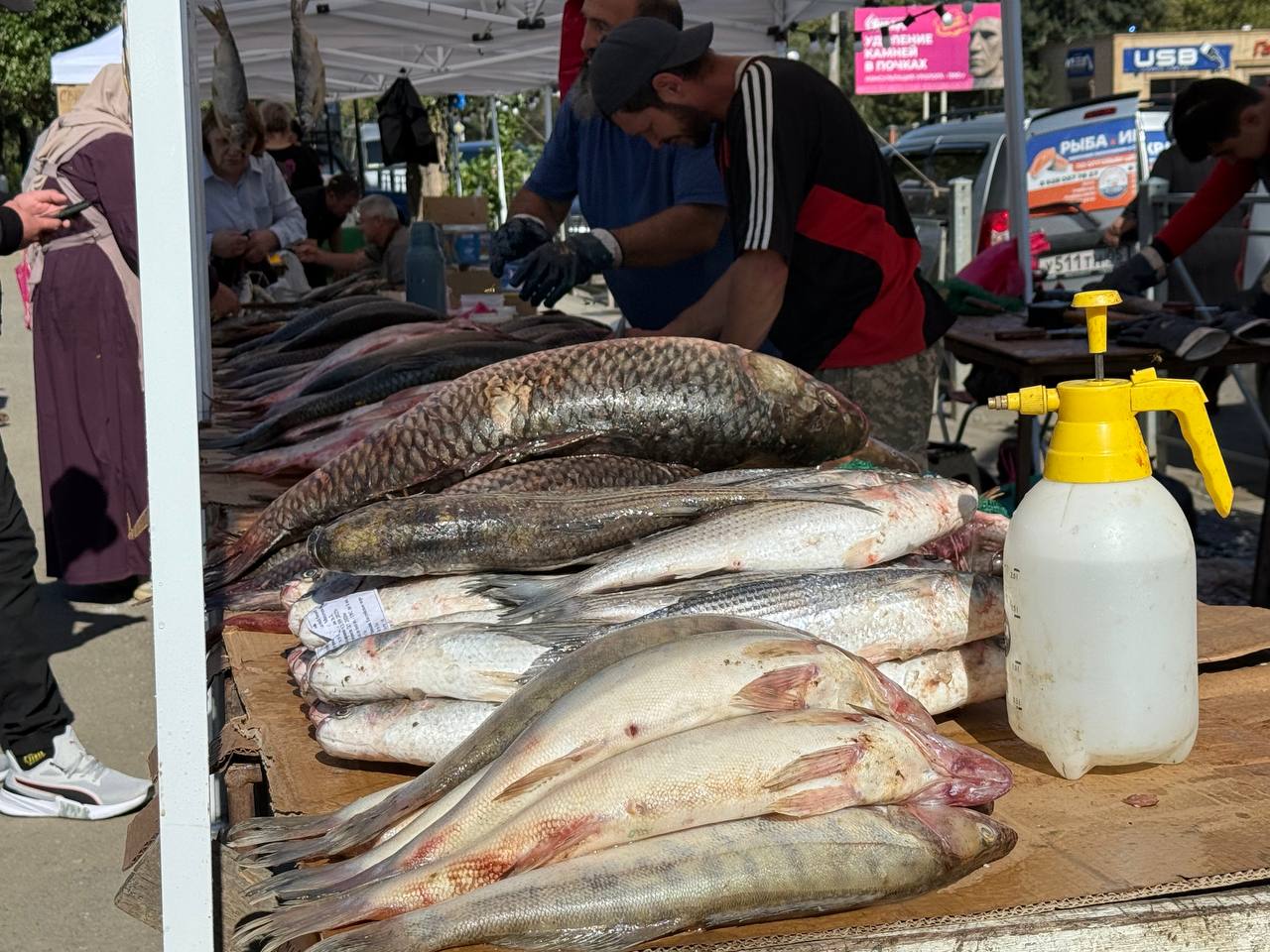 В Махачкале стартовал четырехдневный гастрономический фестиваль «Каспийская рыба»